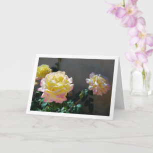 Gelbe und rosa Rosen Portrait Karte
