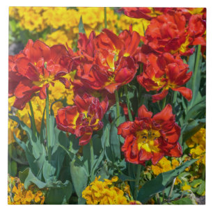 Gelbe und rote Blumen-Keramikfliese Fliese