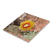 Gelbe und rote Kaktus-Blume in der Blüte Fliese (Seite)