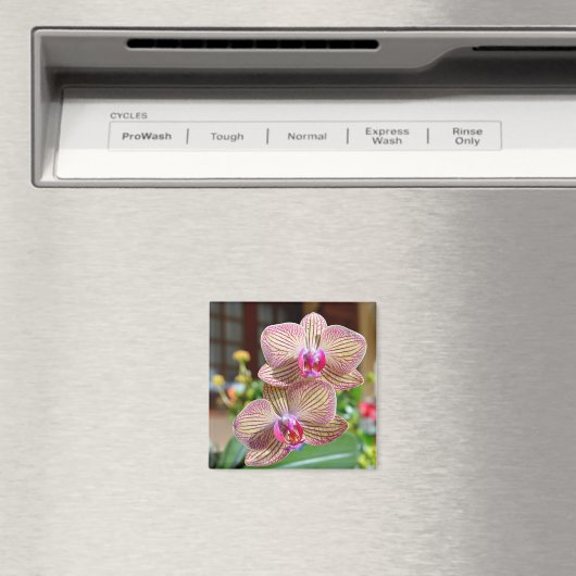 Gelbe und rote Orchideen Magnet (In Situ (Geschirrspüler))