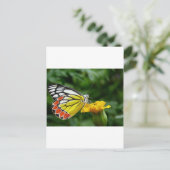 Gelbe und rote Schmetterlinge auf der gelben Blume Postkarte (Stehend Vorderseite)