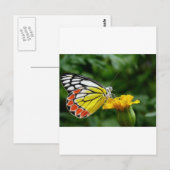 Gelbe und rote Schmetterlinge auf der gelben Blume Postkarte (Vorne/Hinten)