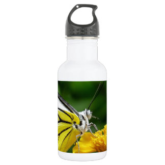 Gelbe und rote Schmetterlinge auf der gelben Blume Trinkflasche