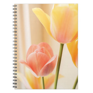 GELBE UND ROTE TULIP IN BLUME NAHES FOTO NOTIZBLOCK