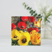 Gelbe und rote Tulips-Flachkarte (Stehend Vorderseite)