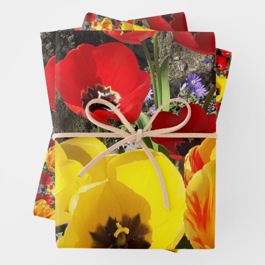 Gelbe und rote Tulissen Geschenkpapier Set (Beispiel)