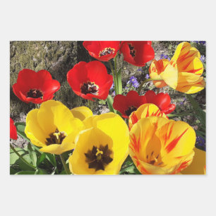 Gelbe und rote Tulissen Geschenkpapier Set