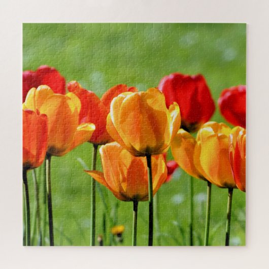 Gelbe und rote Tulissen Puzzle (Horizontal)