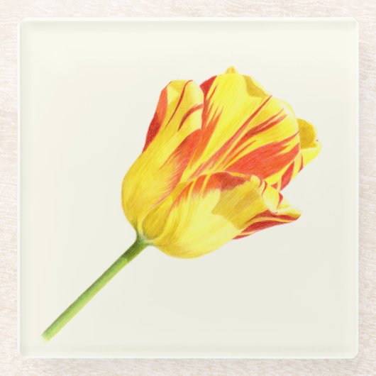 Gelbe und rote Tulpe Glasuntersetzer (Vorderseite)