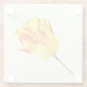 Gelbe und rote Tulpe Glasuntersetzer (Rückseite)