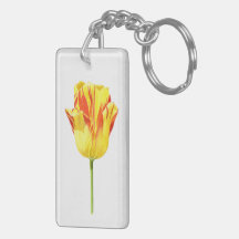 Gelbe und rote Tulpe