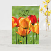 Gelbe und rote Tulpen Karte (Gelbe Blume)