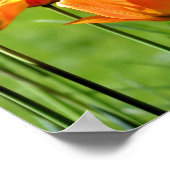 Gelbe und rote Tulpen Poster (Ecke)