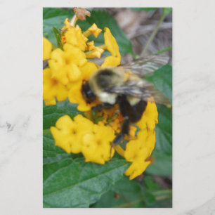 Gelbe und schwarze Biene auf gelber Blume Briefpapier