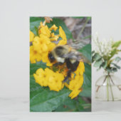 Gelbe und schwarze Biene auf gelber Blume Briefpapier (Stehend Vorderseite)