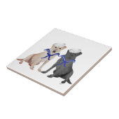 Gelbe und schwarze Labrador-Retrievers Fliese (Seite)