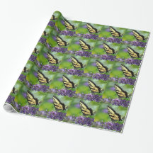 Gelbe und schwarze Schmetterlinge auf dem Lavendel