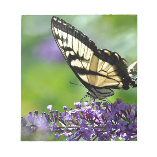 Gelbe und schwarze Schmetterlinge auf dem Lavendel Notizblock (Vorderseite)