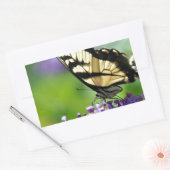 Gelbe und schwarze Schmetterlinge auf dem Lavendel Rechteckiger Aufkleber (Umschlag)