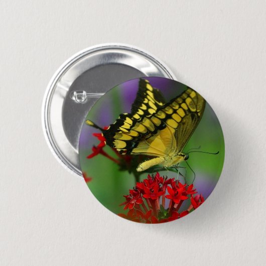 Gelbe und schwarze Schmetterlinge Button (Vorne & Hinten)