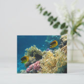 Gelbe und schwarze Schmetterlingsfische Postkarte (Stehend Vorderseite)