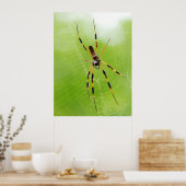 Gelbe und schwarze Spinne (grüner Hintergrund) Poster (Küche)