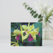Gelbe und violette Orchideen Postkarte (Stehend Vorderseite)
