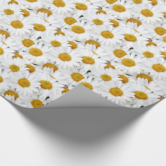Gelbe und weiße Gänseblümchen Geschenkpapier (Ecke)
