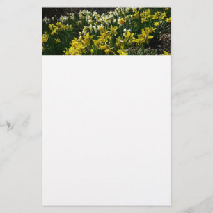 Gelbe und weiße Kleidung Frühlingsblumen Briefpapier