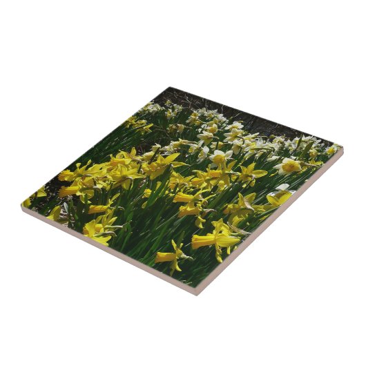 Gelbe und weiße Kleidung Frühlingsblumen Fliese (Seite)