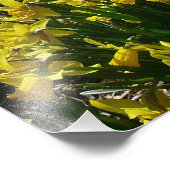 Gelbe und weiße Kleidung Frühlingsblumen Fotodruck (Ecke)