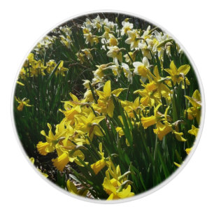 Gelbe und weiße Kleidung Frühlingsblumen Keramikknauf