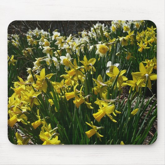 Gelbe und weiße Kleidung Frühlingsblumen Mousepad (Vorne)