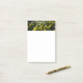 Gelbe und weiße Kleidung Frühlingsblumen Post-it Klebezettel (Auf Schreibtisch)