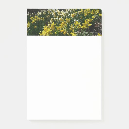 Gelbe und weiße Kleidung Frühlingsblumen Post-it Klebezettel (Vorderseite)