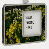 Gelbe und weiße Kleidung Frühlingsblumen Rahmen-Ornament Silber (Rechts)