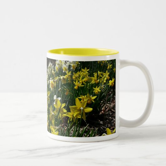 Gelbe und weiße Kleidung Frühlingsblumen Zweifarbige Tasse (Rechts)