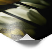 Gelbe und weiße Tulpen Fotodruck (Ecke)