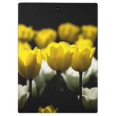 Gelbe und weiße Tulpen Klemmbrett (Rückseite)