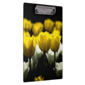 Gelbe und weiße Tulpen Klemmbrett (Rechts)