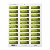 Gelbe Unterkugel (Vorne)