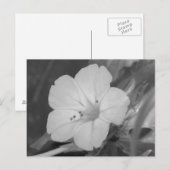 Gelbe vier Uhr Postkarte (Vorne/Hinten)