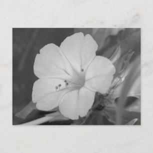 Gelbe vier Uhr Postkarte