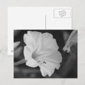 Gelbe vier Uhr Postkarte (Vorne/Hinten)