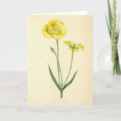 Gelbe Vintage-Blumenillustration Karte (Vorderseite)