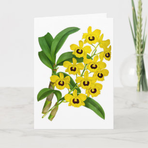 Gelbe Vintage-Orchideenblüte Karte