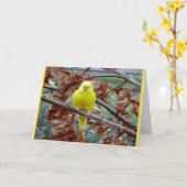 Gelbe Vogelblindkarte Karte (Gelbe Blume)