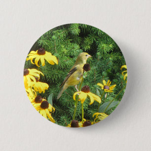 Gelbe Vogelknopf Button