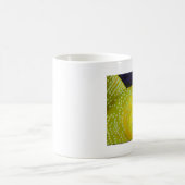 Gelbe Wächtergoby-Fische Kaffeetasse (Mittel)