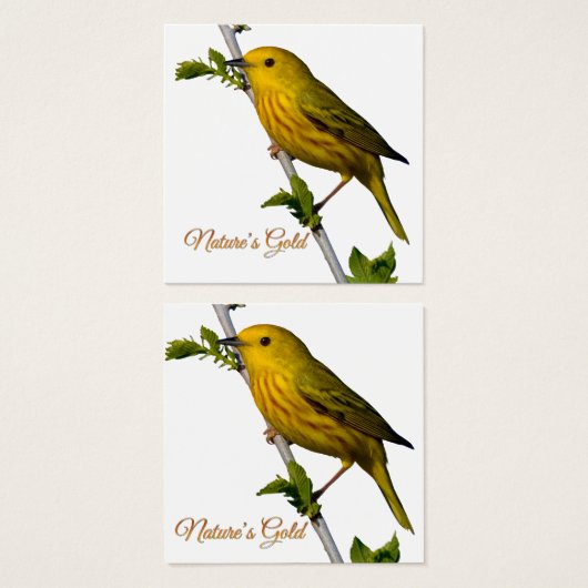Gelbe Warbler "Nature's Gold" gedruckte Kunstkarte (Vorne & Hinten)